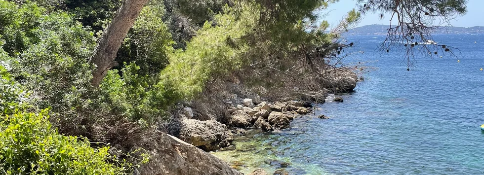 duurzaam cadeau header foto strand